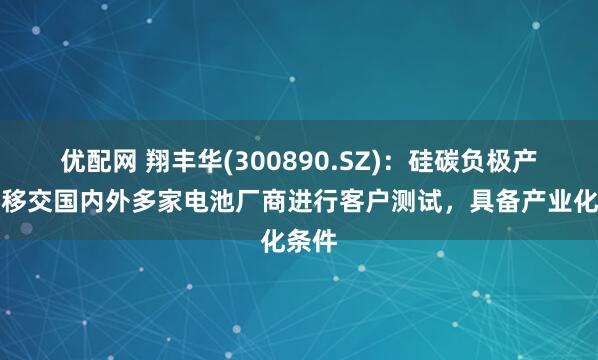优配网 翔丰华(300890.SZ)：硅碳负极产品已移交国内外多家电池厂商进行客户测试，具备产业化条件