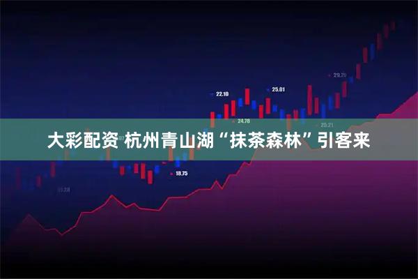 大彩配资 杭州青山湖“抹茶森林”引客来